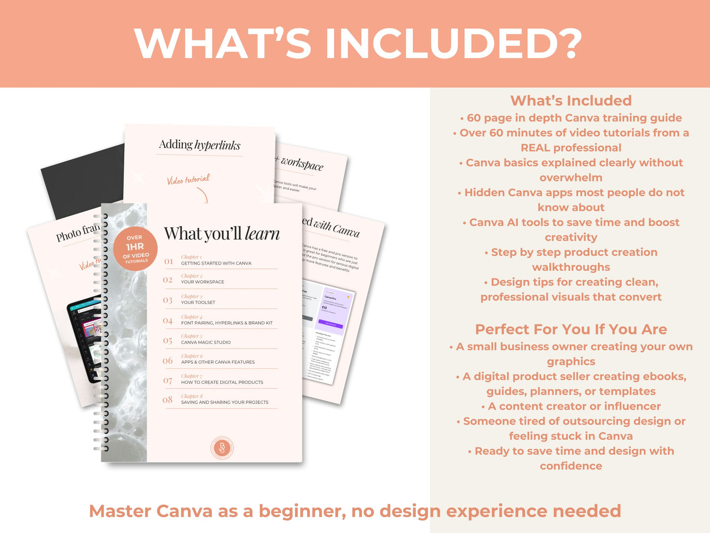 ULTIMATE Canva Training Guide for Small Business Owners!!